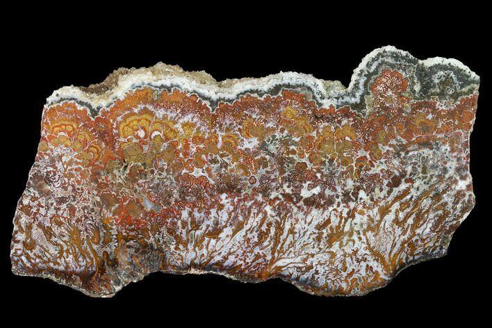 Wingate Pass Plume Agate Slab - California #141293